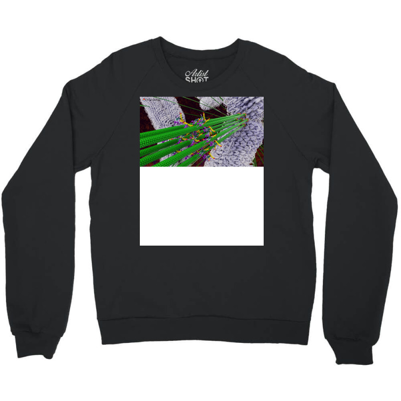 Microtubules During Mitosis Humor Crewneck Sweatshirt by boyzenpragp | Artistshot