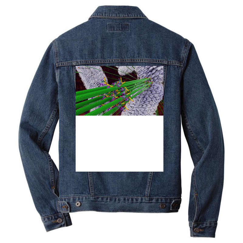 Microtubules During Mitosis Humor Men Denim Jacket by boyzenpragp | Artistshot