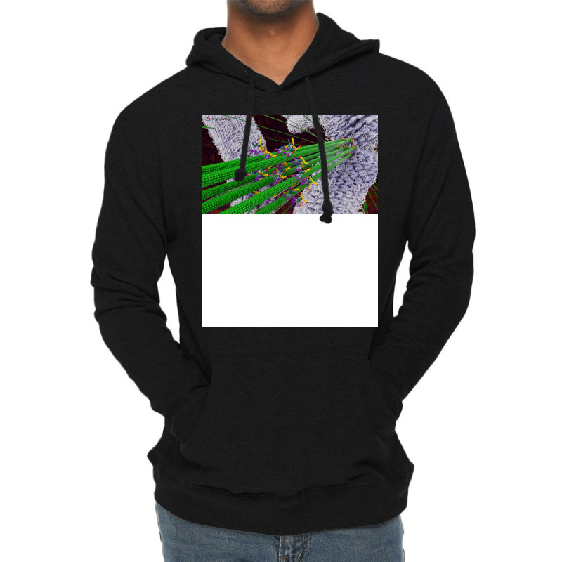 Microtubules During Mitosis Humor Lightweight Hoodie by boyzenpragp | Artistshot