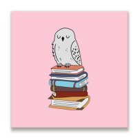 Magic Owl On Books 15 Metal Print Square | Artistshot