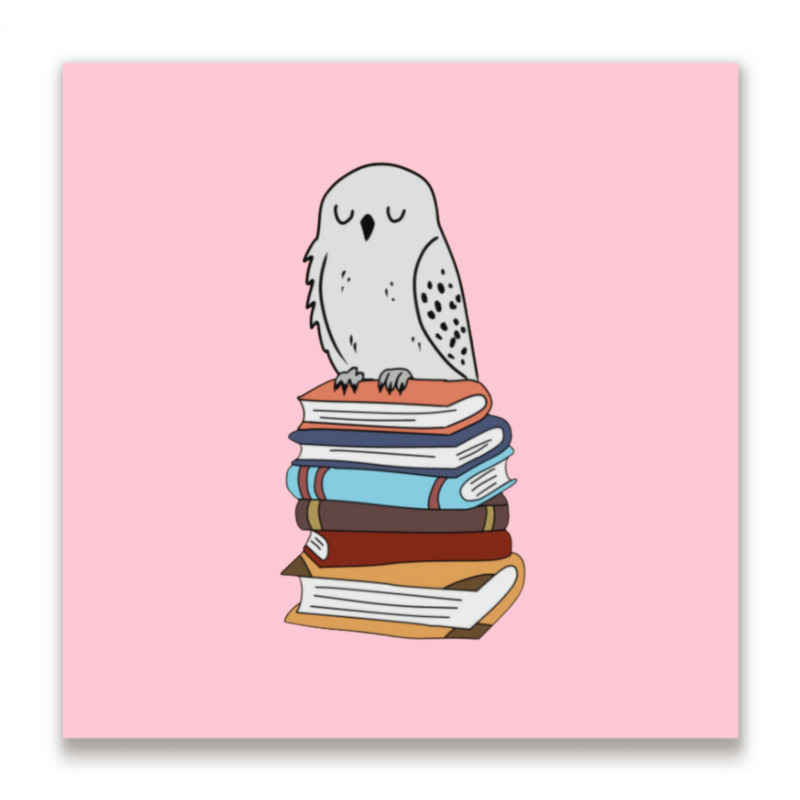 Magic Owl On Books 15 Metal Print Square | Artistshot