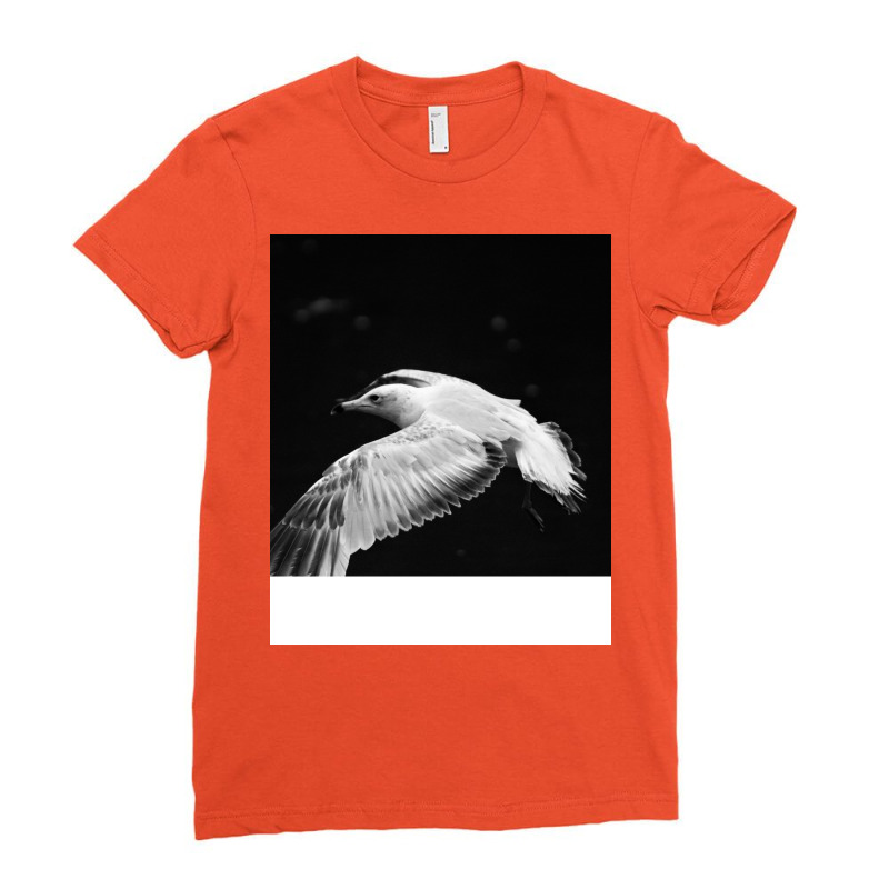 Black And White Bird Retro Ladies Fitted T-Shirt by odalysunzueb | Artistshot