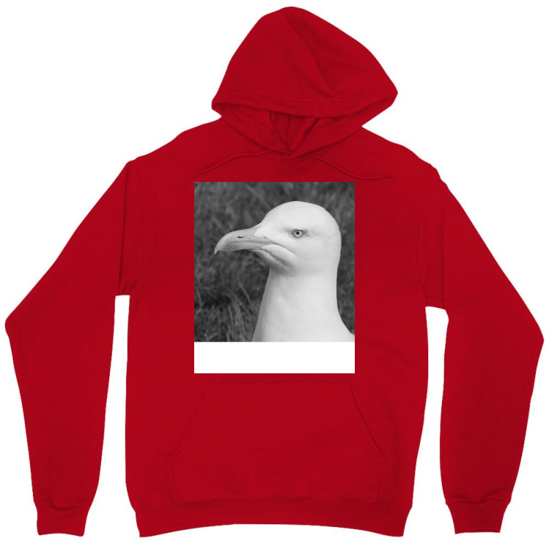 Black And White Bird Nostalgia Unisex Hoodie by malikkkaculaw | Artistshot