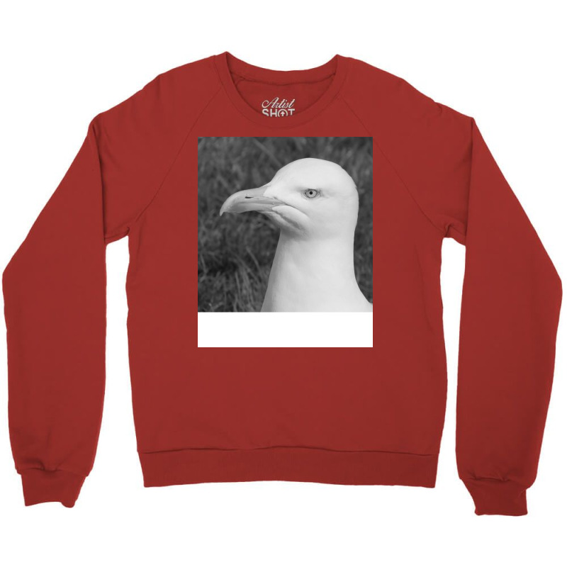 Black And White Bird Nostalgia Crewneck Sweatshirt by malikkkaculaw | Artistshot