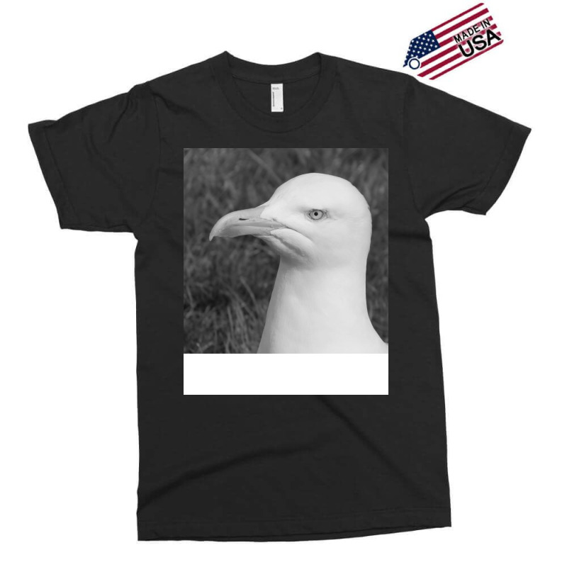 Black And White Bird Nostalgia Exclusive T-shirt by malikkkaculaw | Artistshot