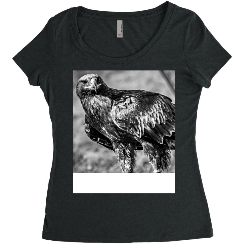 Black And White Bird Girl Women's Triblend Scoop T-shirt by sinetgaylerc | Artistshot