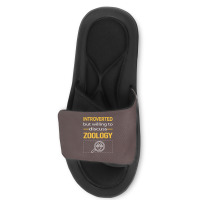 Funny Introverted Zoology Zoologist Aesthetic Slide Sandal | Artistshot