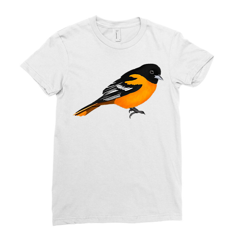 Oriole Bird Birdlover Birdwatcher Ornithologist Bi Ladies Fitted T-Shirt by ervanm | Artistshot