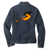 Oriole Bird Birdlover Birdwatcher Ornithologist Bi Ladies Denim Jacket | Artistshot