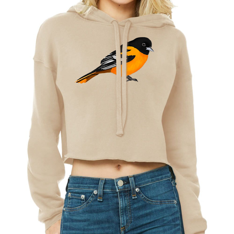 Oriole Bird Birdlover Birdwatcher Ornithologist Bi Cropped Hoodie by ervanm | Artistshot