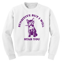 Sensitive But I Will Stab You Funny Cat T Shirt Youth Sweatshirt | Artistshot