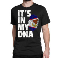 It's In My Dna American Samoa Flag Samoan Pride Ro Classic T-shirt | Artistshot