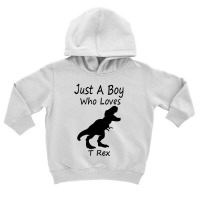 New Just A Boy Who Loves T Rex Silhouette Design Toddler Hoodie | Artistshot