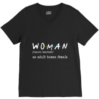 Funny Woman Definition Noun An Adult Human Female V-neck Tee | Artistshot