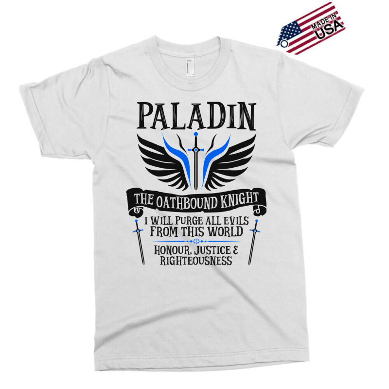 Paladin1 Exclusive T-shirt | Artistshot