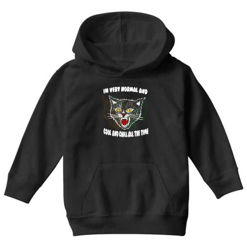 Angry Cat Iâ€™m Very Normal And Cool And Chil Youth Hoodie by imelde | Artistshot