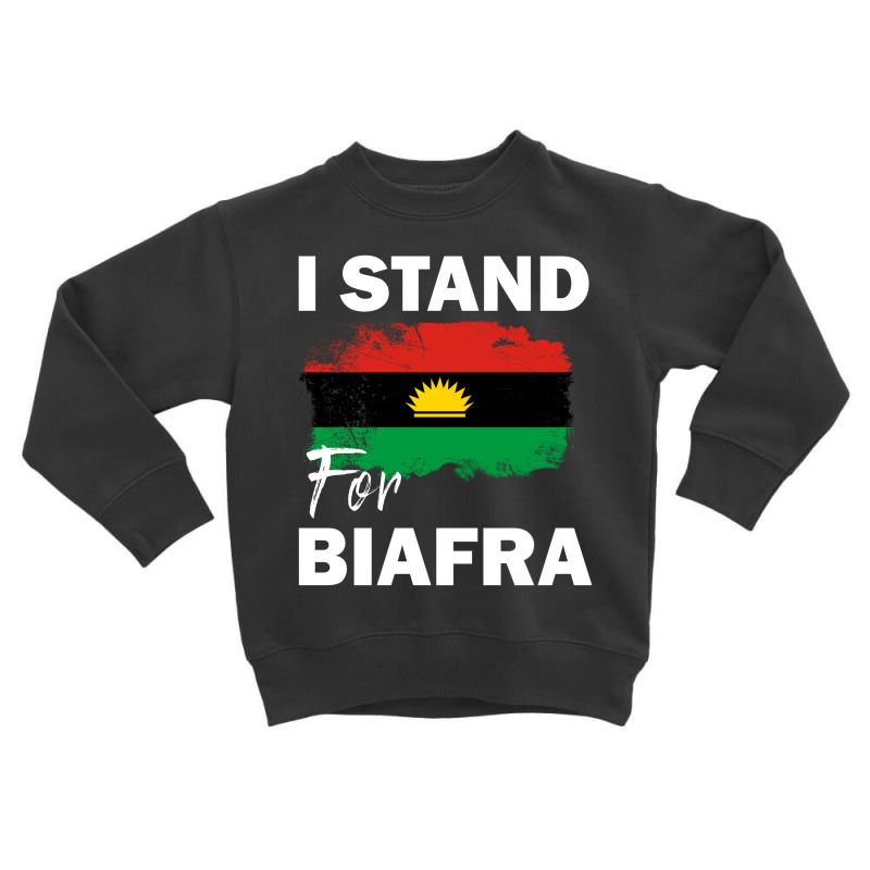 I Stand For Biafra Toddler Sweatshirt by cogentprint | Artistshot