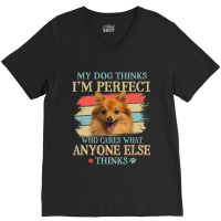 My Dog Thinks Im Perfect German Spitz Dog Retro St V-neck Tee | Artistshot