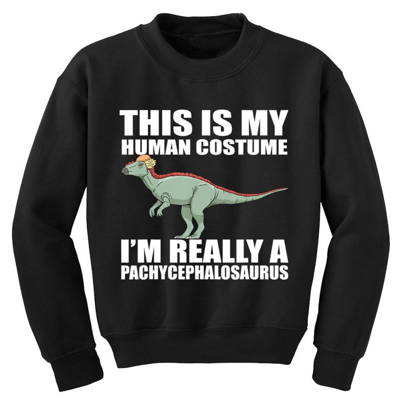 Pachycephalosaurus Costume Design Dinosaur T Shirt Youth Sweatshirt | Artistshot