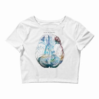 Ancient Brain Drawing   Type B Crop Top | Artistshot