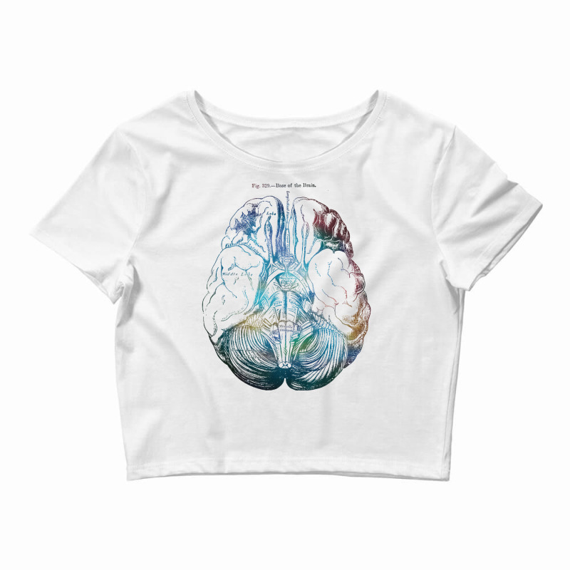 Ancient Brain Drawing   Type B Crop Top by safouarugenk | Artistshot