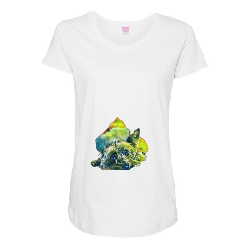 Yorkshire Terrier Dog Laying Maternity Scoop Neck T-shirt by Kemnabi | Artistshot