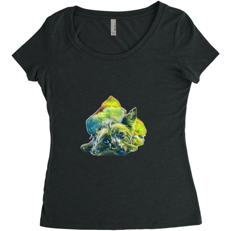 Yorkshire Terrier Dog Laying Women's Triblend Scoop T-shirt by Kemnabi | Artistshot