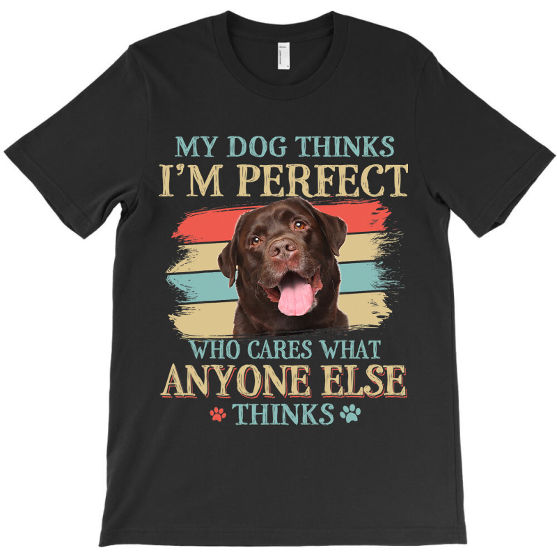 My Dog Thinks Im Perfect Chocolate Labrador Dog Re T-shirt | Artistshot