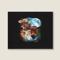 3 Moon Cow Funny Livestock Cattle Animal Lovers Ar Landscape Canvas Print | Artistshot