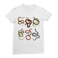 Different Types Of Snakes For Snake Lovers T Shirt Ladies Fitted T-shirt | Artistshot