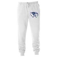 Ce Williams Middle School Unisex Jogger | Artistshot