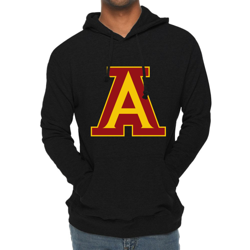 Arlington Lions Lightweight Hoodie | Artistshot