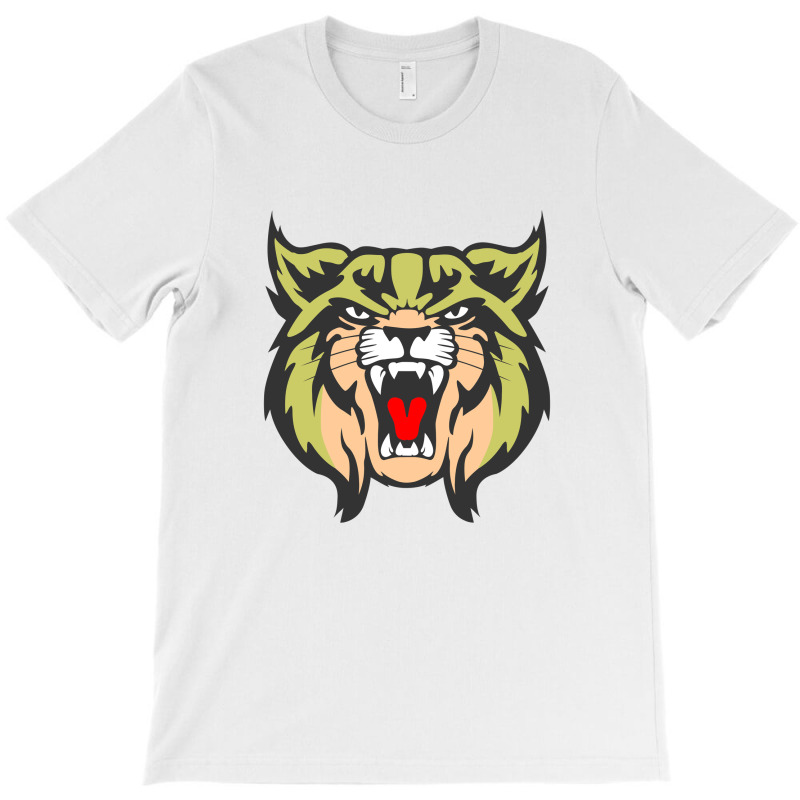 Brookings High School1 T-shirt | Artistshot