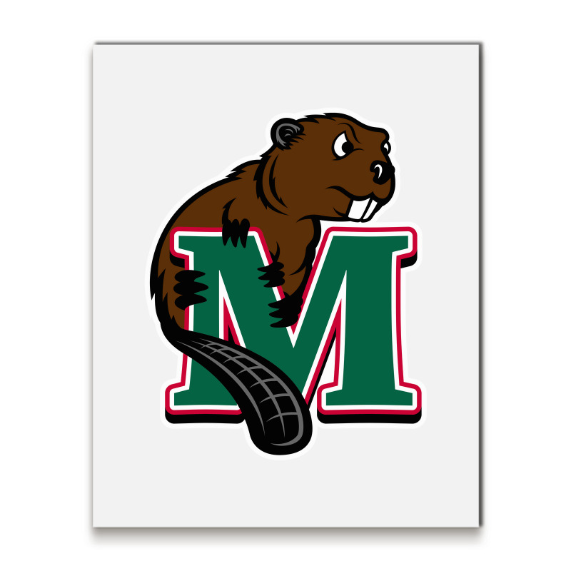 Minot State Beavers Metal Print Vertical | Artistshot