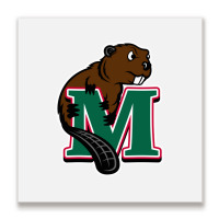 Minot State Beavers Metal Print Square | Artistshot