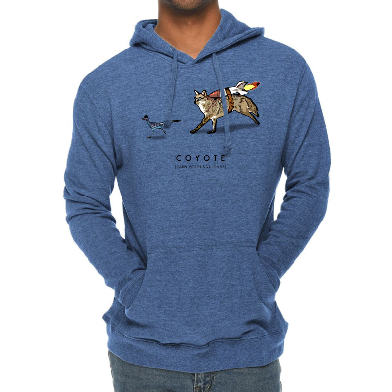 Coyote & Roadrunner 12 Lightweight Hoodie | Artistshot