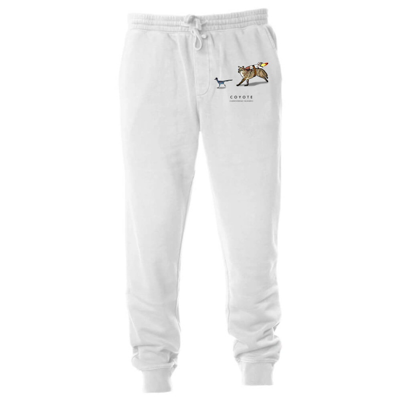 Coyote & Roadrunner 12 Unisex Jogger | Artistshot