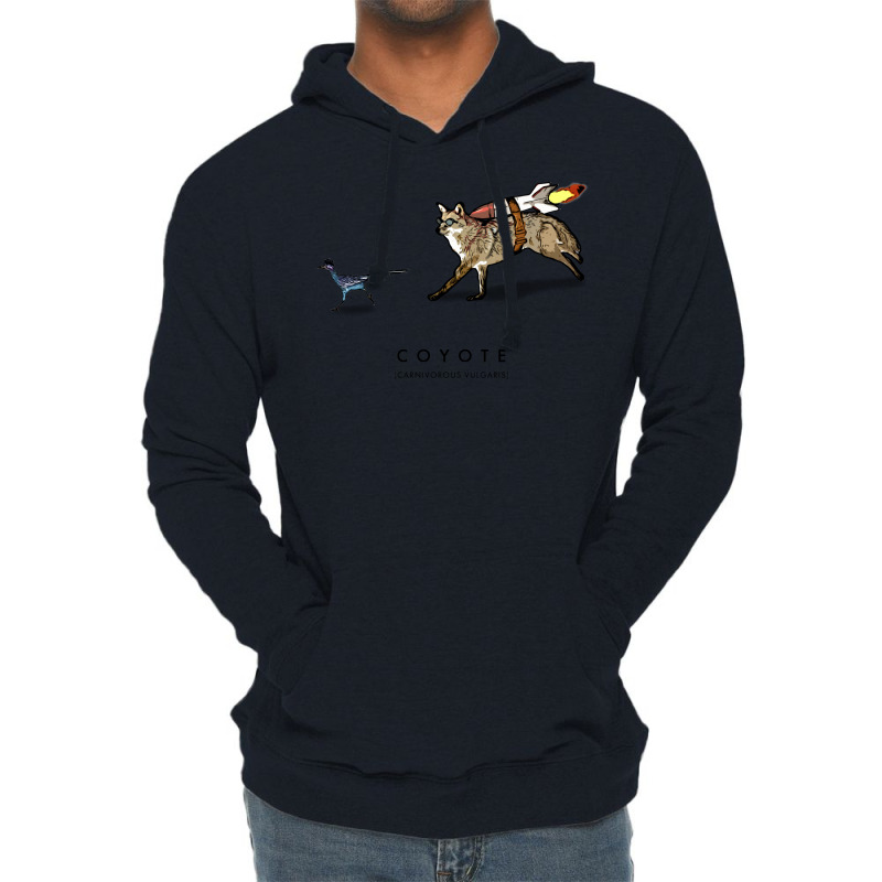 Coyote & Roadrunner 14 Lightweight Hoodie | Artistshot