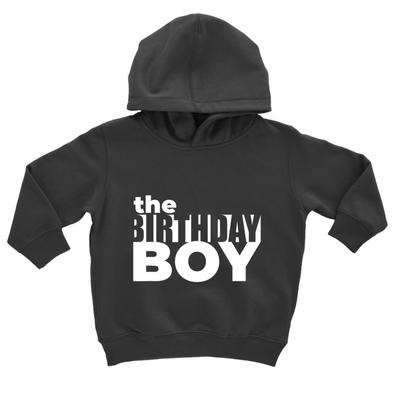 Birthday Dude Boy Graphic Novelty T Shirt Toddler Hoodie by dotson | Artistshot