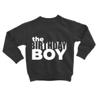 Birthday Dude Boy Graphic Novelty T Shirt Toddler Sweatshirt | Artistshot