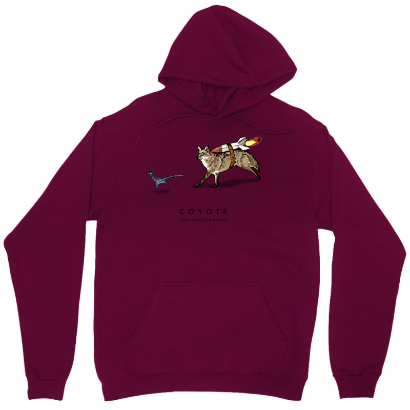 Coyote & Roadrunner 71 Unisex Hoodie | Artistshot