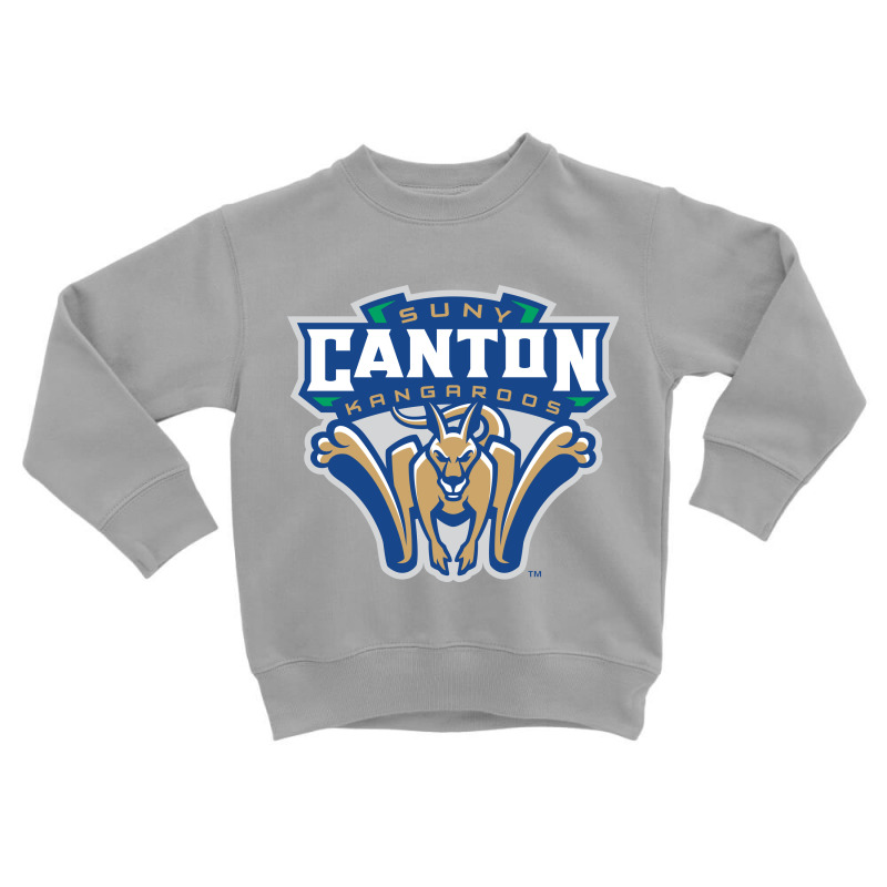 Suny Canton Toddler Sweatshirt | Artistshot