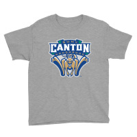 Suny Canton Youth Tee | Artistshot