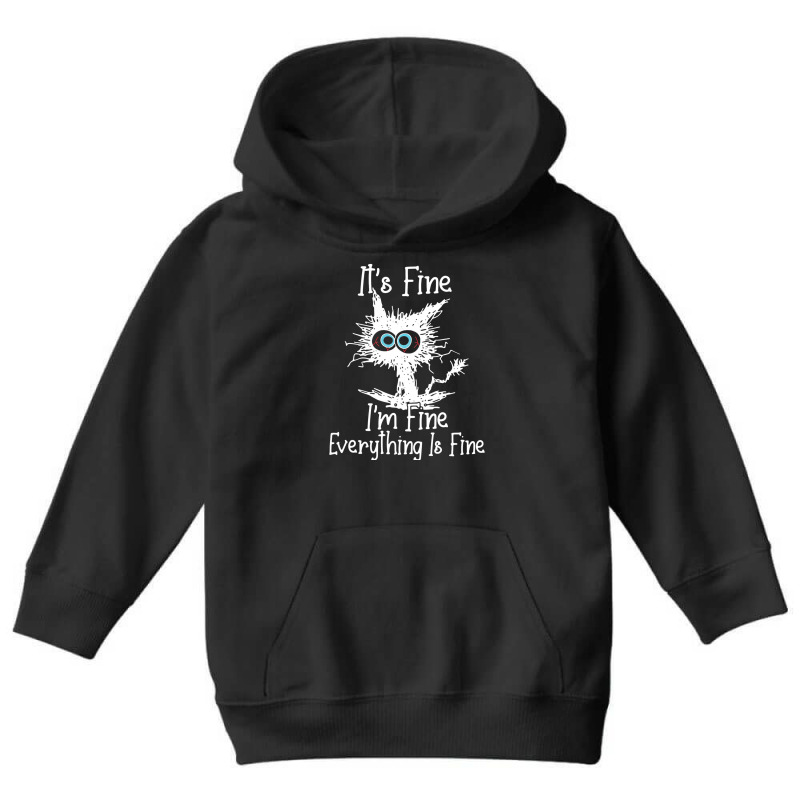 It's Fine I'm Fine Everything Is Fine Funny Crazy Youth Hoodie | Artistshot