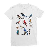 Birds Cardinal Blue Jay Hummingbird Ornithologist Ladies Fitted T-shirt | Artistshot