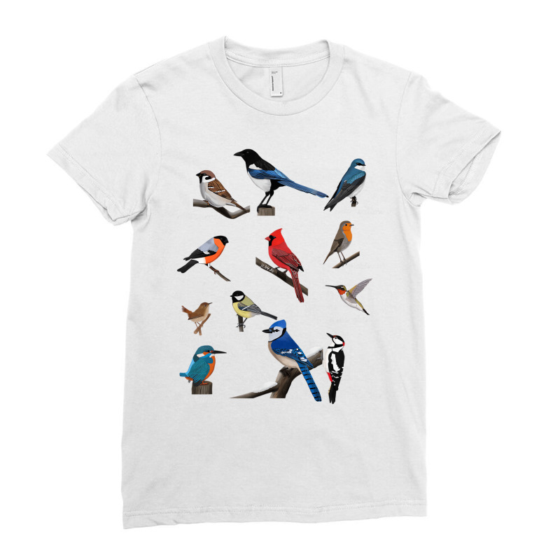 Birds Cardinal Blue Jay Hummingbird Ornithologist Ladies Fitted T-Shirt by qadina | Artistshot