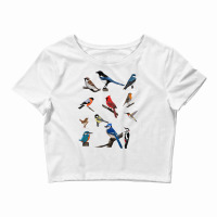 Birds Cardinal Blue Jay Hummingbird Ornithologist Crop Top | Artistshot