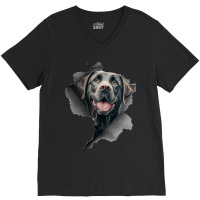 Labrador Retriever Peeking Funny Dog Mom Dad Rippe V-neck Tee | Artistshot