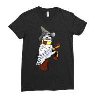 An Owl In A Hat And Stripey Scarf Ladies Fitted T-shirt | Artistshot