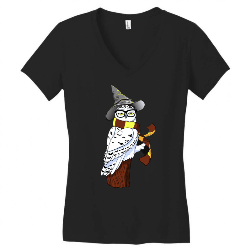 An Owl In A Hat And Stripey Scarf Women's V-Neck T-Shirt by alfanomearsb | Artistshot